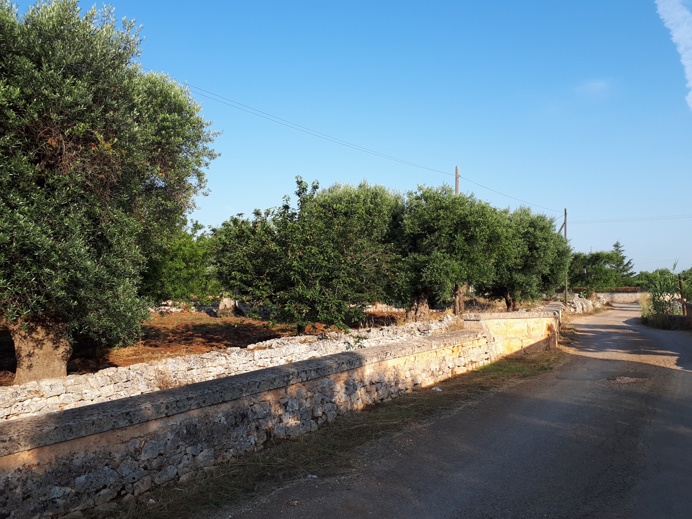 Foto di un muretto a secco