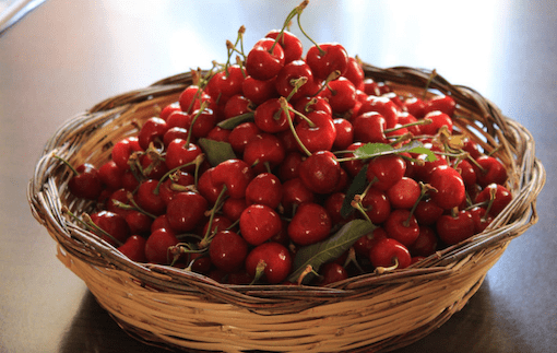 Cesto di ciliege, frutto locale a cui è dedicata una sagra nei primi giorni di giugno