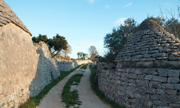 Una delle tante strade di campagnia tra trulli e muretti a secco